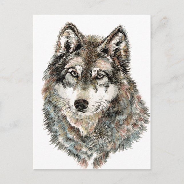 Carte Postale Nom personnalisé ou loup en texte d'aquarelle Anim (Devant)