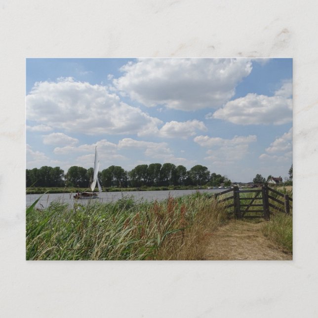 Carte postale Norfolk Broads (Devant)