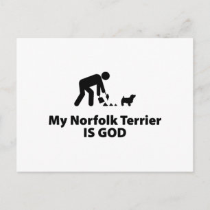 Carte Postale Norfolk Terrier