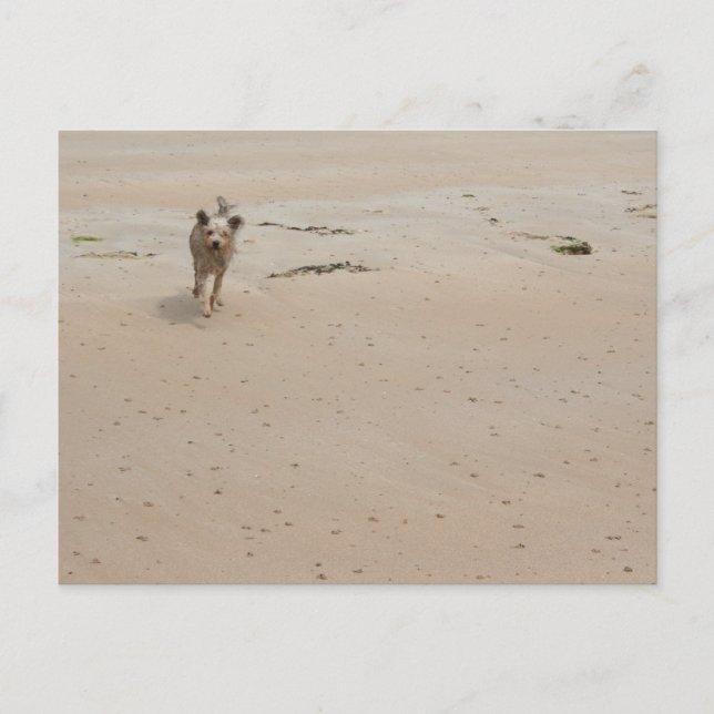 Carte Postale Normandy 2009 (1) (Devant)