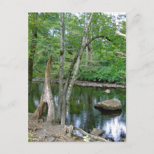 Carte postale North Carolina Creek (Devant)