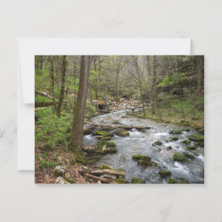 Carte Postale North Sylamore Creek