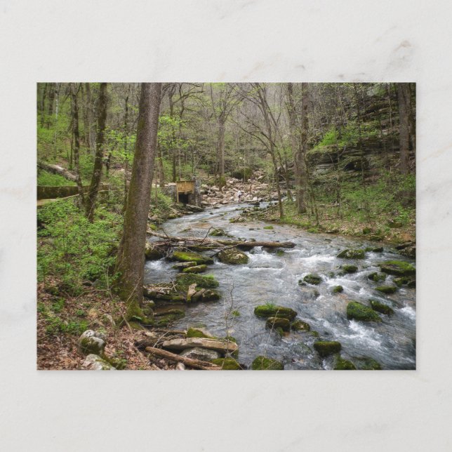 Carte Postale North Sylamore Creek (Devant)