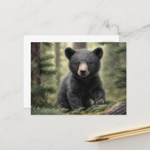 Carte postale North Woods Little Black Bear Cub