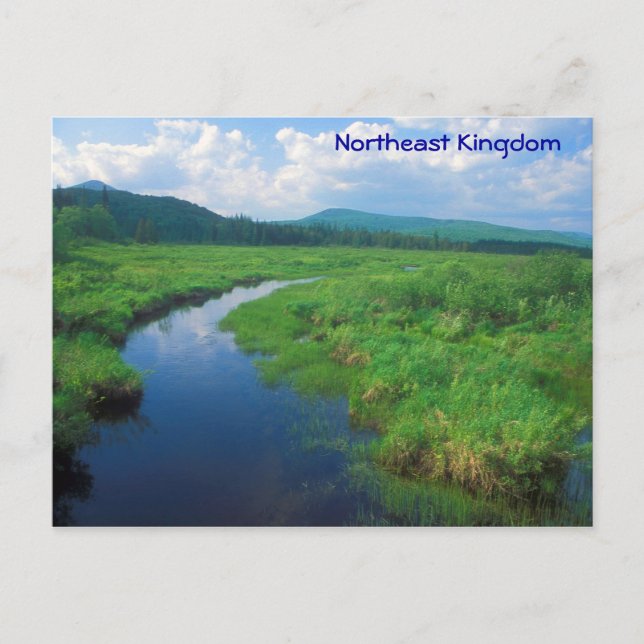 Carte Postale Northeast Kingdom Vermont Victory Bog (Devant)