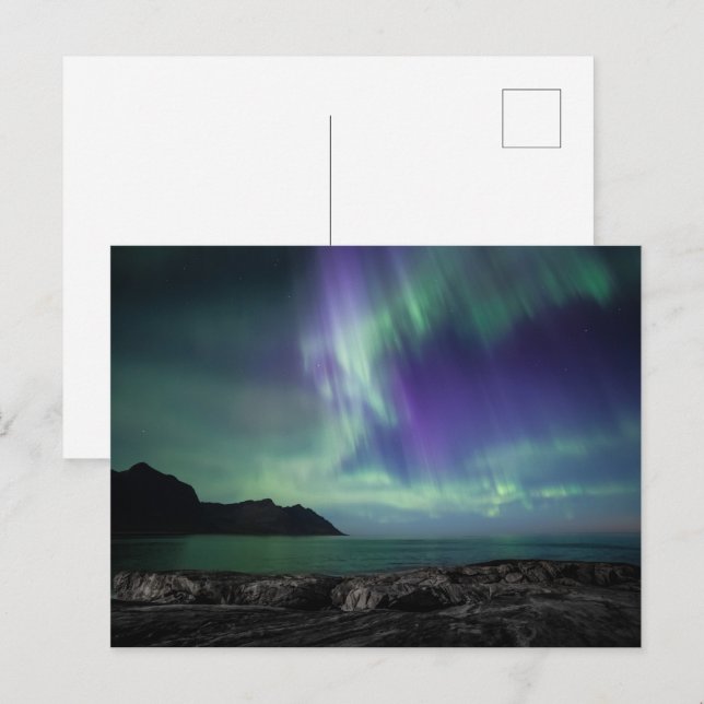 Carte Postale Northern Lights Norvège (Devant / Derrière)