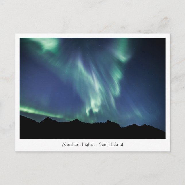 Carte Postale Northern Lights Norvège (Devant)