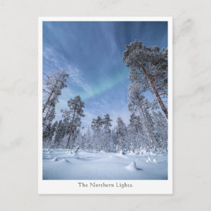 Carte Postale Northern Lights Norvège
