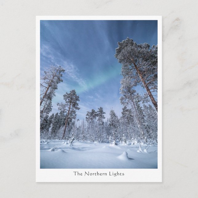 Carte Postale Northern Lights Norvège (Devant)