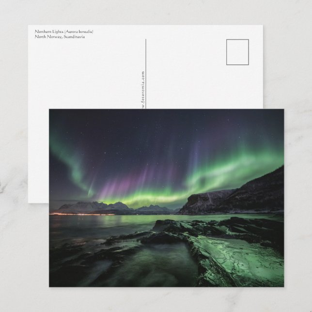 Carte Postale Northern Lights Norvège (Devant / Derrière)