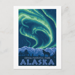 Carte Postale Northern Lights - Parc national de Denali, Alaska