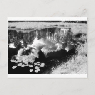 Carte Postale Northwoods Lake avec beau paysage réfléchi