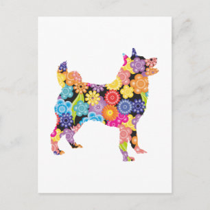 Carte Postale Norvégien Elkhound