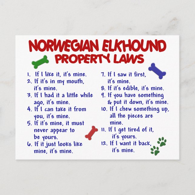 Carte Postale NORWEGIAN ELKHOUND Lois sur la propriété 2 (Devant)