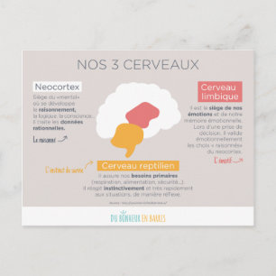 Carte Postale Nos 3 cerveaux