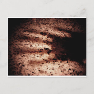 Carte Postale Nosferatu