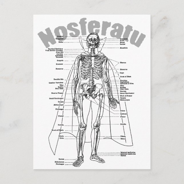 Carte Postale Nosferatu (Devant)
