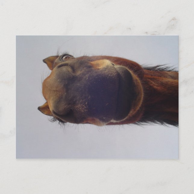 Carte Postale Nosy (Devant)