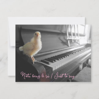 Carte postale Nóta beag le rá / Juste dire