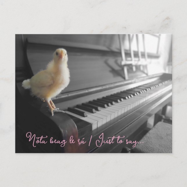Carte postale Nóta beag le rá / Juste dire (Devant)