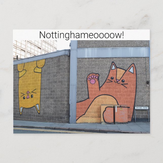 Carte Postale Nottingham Cats (Devant)