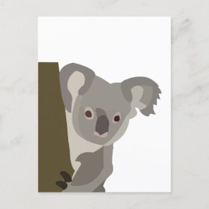 Carte Postale Nounours d'ours mignon animal australien