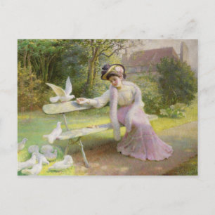 Carte Postale Nourrir les colombes