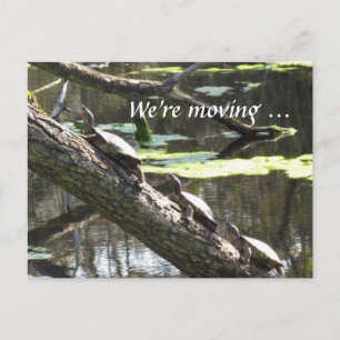Carte postale - nous déplaçons… des tortues