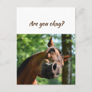 Carte Postale Nous pensons à vous Chevaux Es-tu OK ?