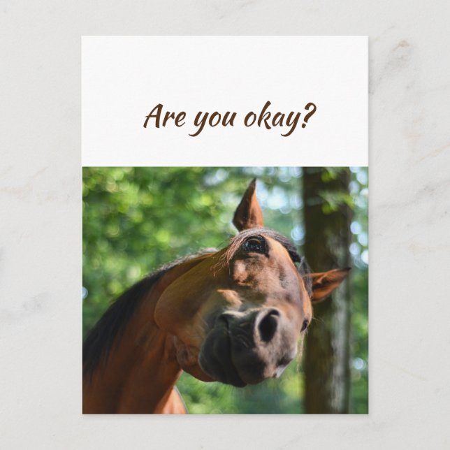 Carte Postale Nous pensons à vous Chevaux Es-tu OK ? (Devant)