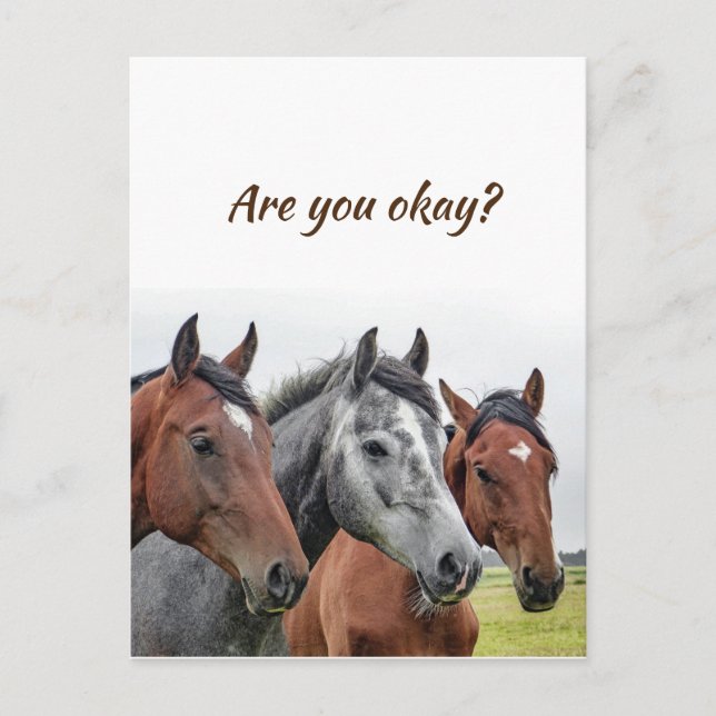 Carte Postale Nous pensons à vous Chevaux pour savoir que vous a (Devant)