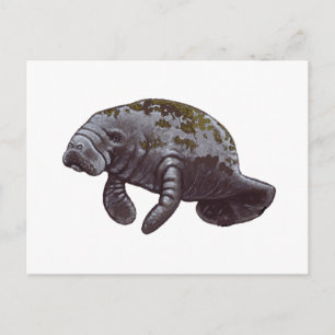 CARTE POSTALE NOUS REND HEUREUX