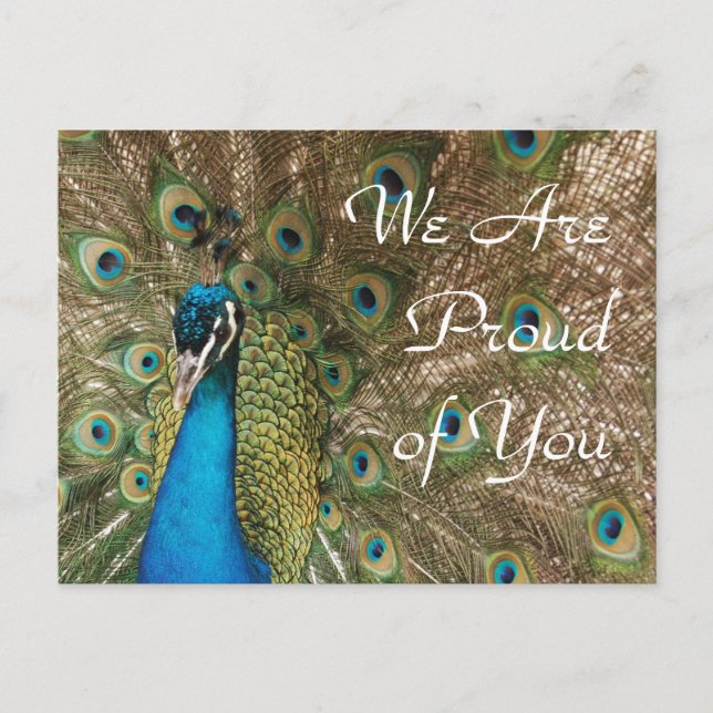 Carte Postale "Nous sommes fiers de vous" Photo Peacock (Devant)