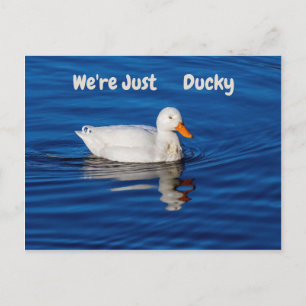Carte Postale Nous sommes juste Ducky