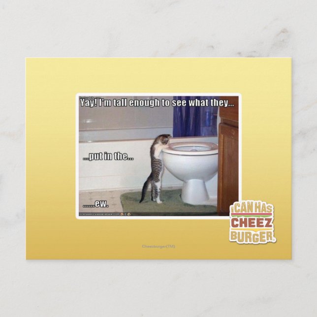 Carte Postale nouveau (Devant)