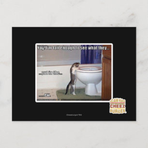 Carte Postale nouveau