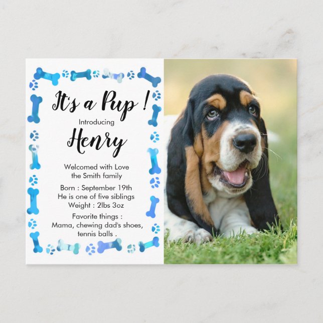 Carte Postale Nouveau chiot Nouvel animal de compagnie - Annonce (Devant)