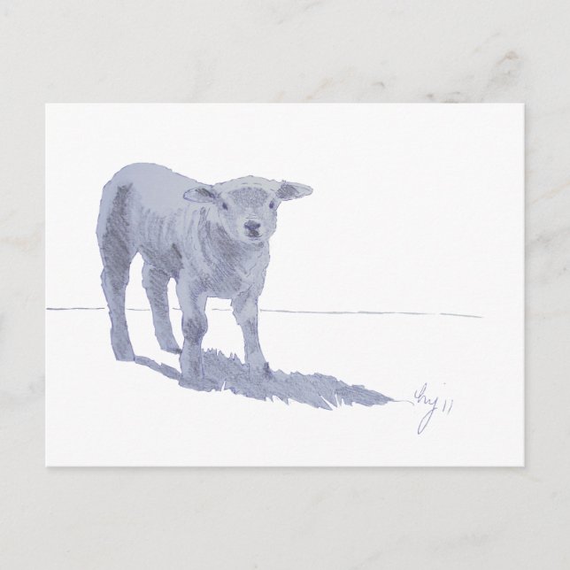 Carte Postale Nouveau dessin au crayon d'agneau (Devant)