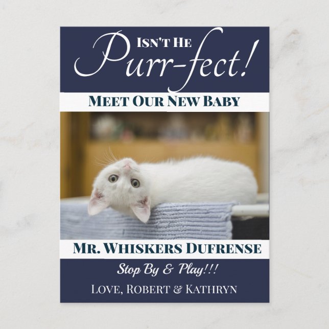 Carte Postale Nouveau Faire-part de chat "Purr-fect" (Devant)