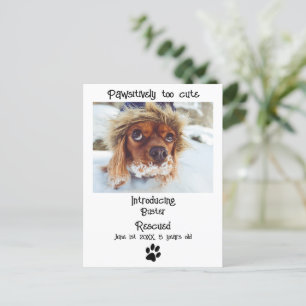 Carte Postale Nouveau Faire-part de chien animal de compagnie