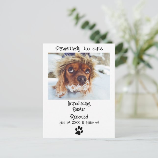 Carte Postale Nouveau Faire-part de chien animal de compagnie (Debout devant)