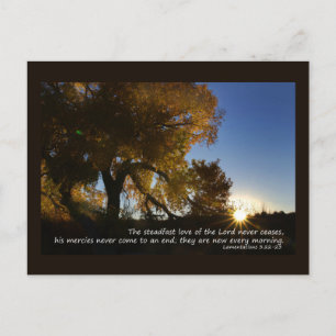 Carte postale Nouveau matin