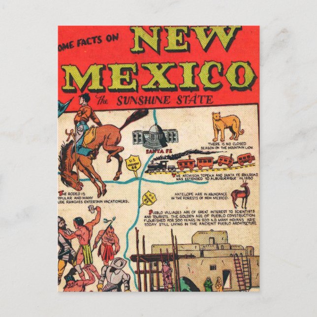 Carte Postale Nouveau-Mexique (Devant)