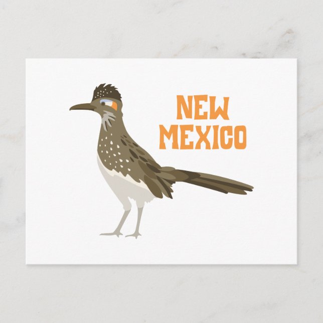 Carte Postale Nouveau-Mexique Roadrunner (Devant)
