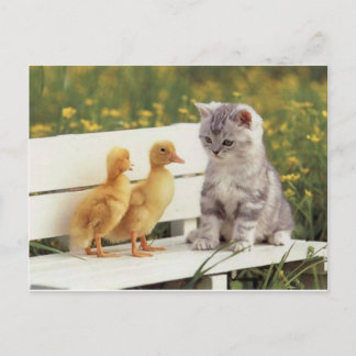 Carte Postale Nouveaux amis