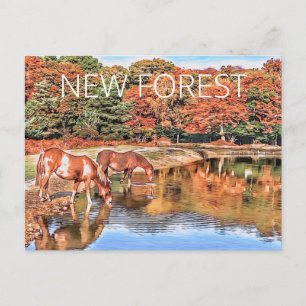 Carte Postale Nouveaux Ponts Forestiers