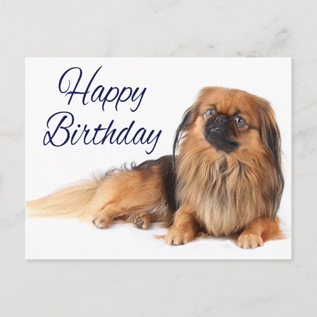 Carte Postale Nouvel anniversaire de l'Amoureux des chiens Pekin (Devant)