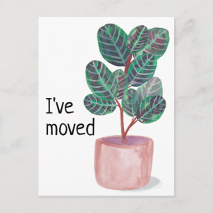 Carte Postale Nouvelle adresse résidentielle Calathea Prière Pla