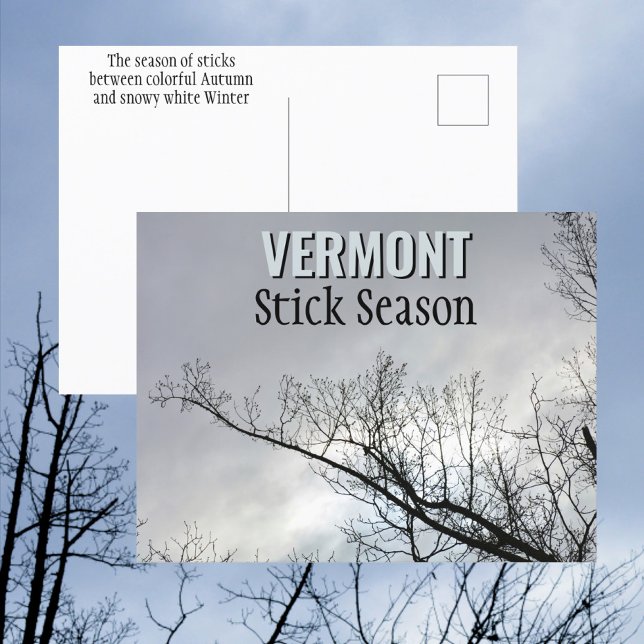 Carte Postale Nouvelle-Angleterre Stick Saison Vermont Photograp (Créateur téléchargé)