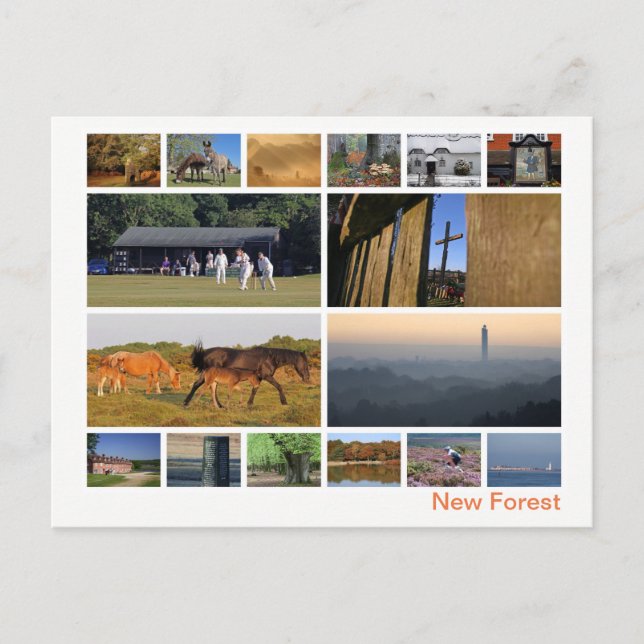 Carte Postale Nouvelle forêt multi-image (Devant)